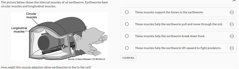 Read Question On PNG-example-1