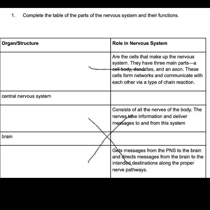 PLEASE HELP WITH THIS. Complete the table of the parts of the nervous system and their-example-1