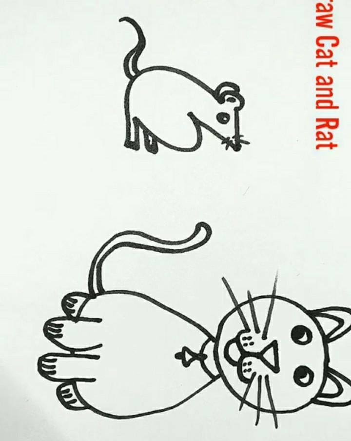 Draw cat diagram with rat​-example-1