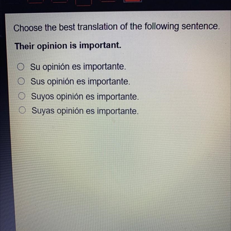 Choose the best translation of the following sentence. Their opinion is important-example-1