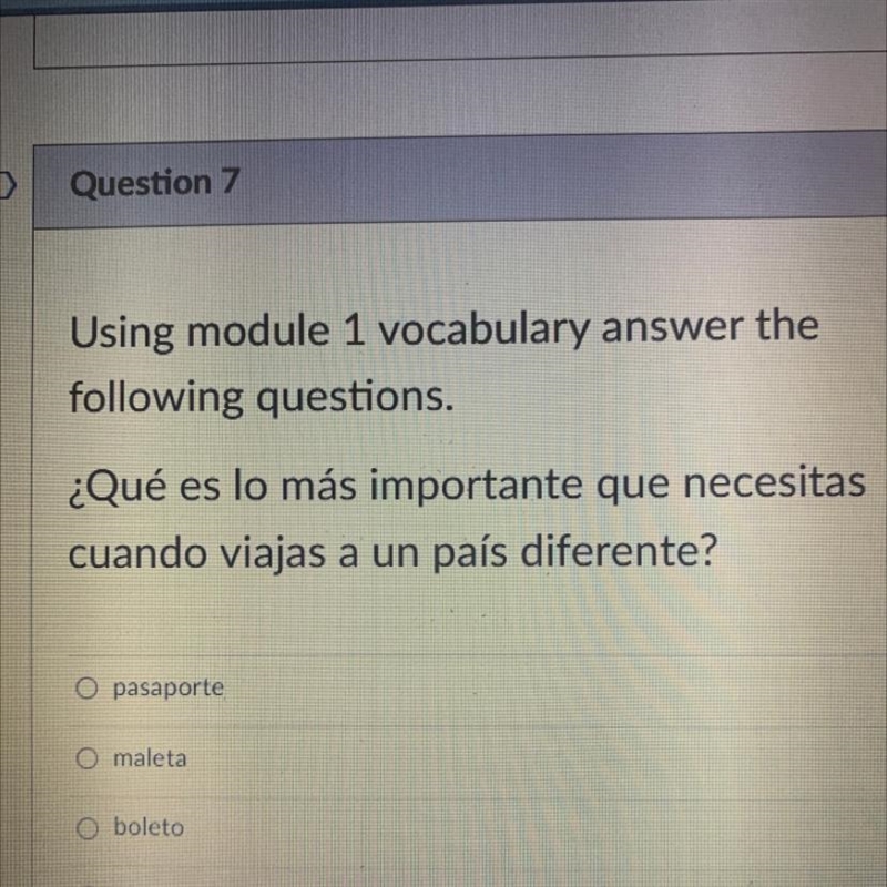 ¿Qué es lo más importante que necesitas cuando viajas a un país diferente? O pasaporte-example-1