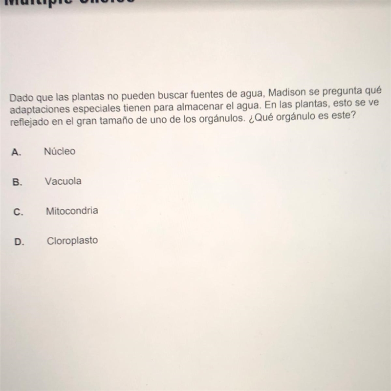 Dado que las plantas no pueden buscar fuentes de agua, Madison se pregunta qué adaptaciones-example-1