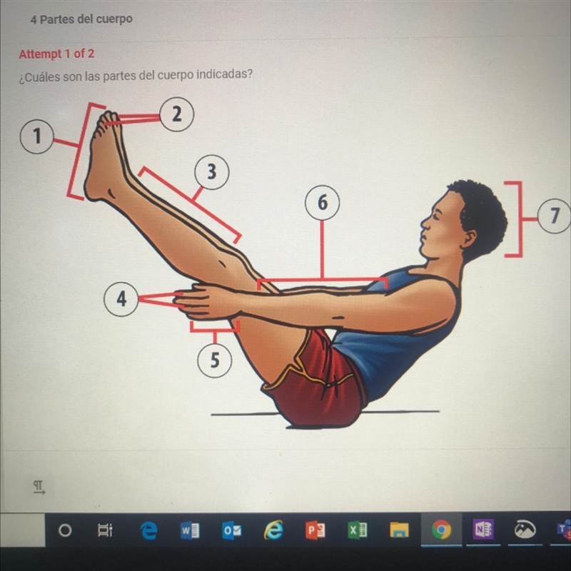 Please help Spanish ¿Cuáles son las partes del cuerpo indicadas?-example-1