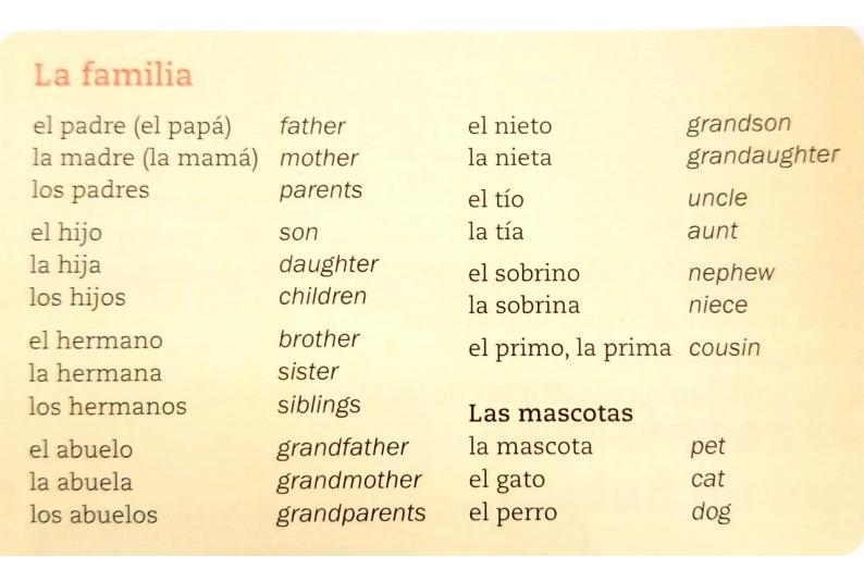 Directions: Completa. Complete the sentences with words shown above. 1. Janet y Andy-example-4