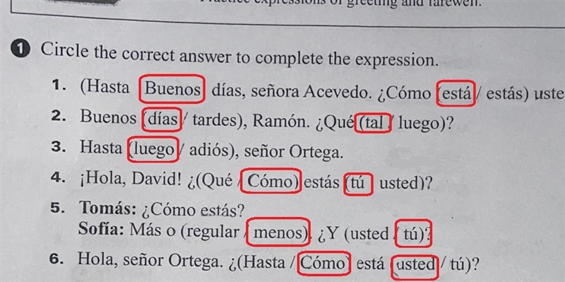 Diana runs into her teacher. sra acevedo, on her way to the store. write a brief dialogue-example-1