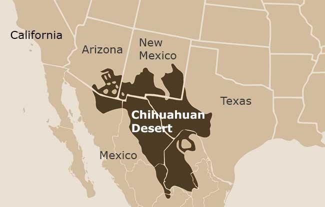 Which of the following states does not contain a part of the Chihuahuan desert? A-example-1