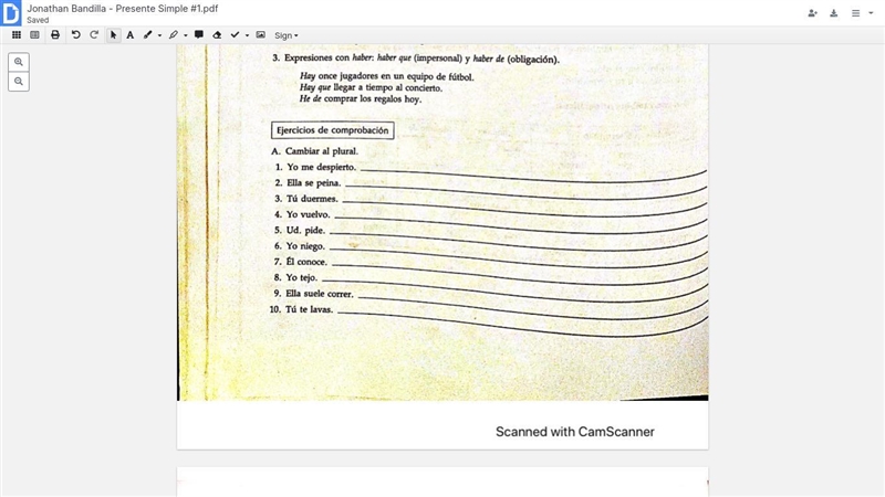 Im bad at spanish can you please help. cambiar el plural-example-1