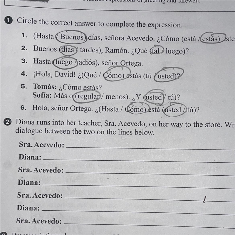 Diana runs into her teacher. sra acevedo, on her way to the store. write a brief dialogue-example-1