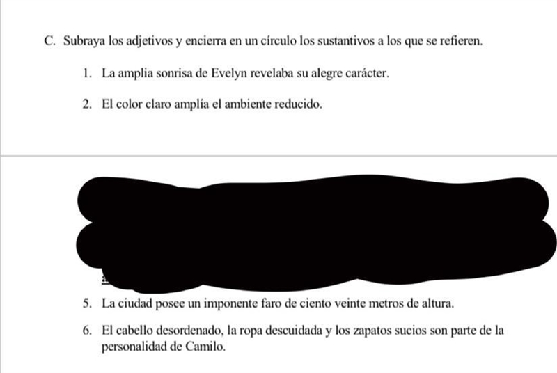 Underline the adjectives and circle the nouns they refer to. PLEASE HELP MEM-example-1