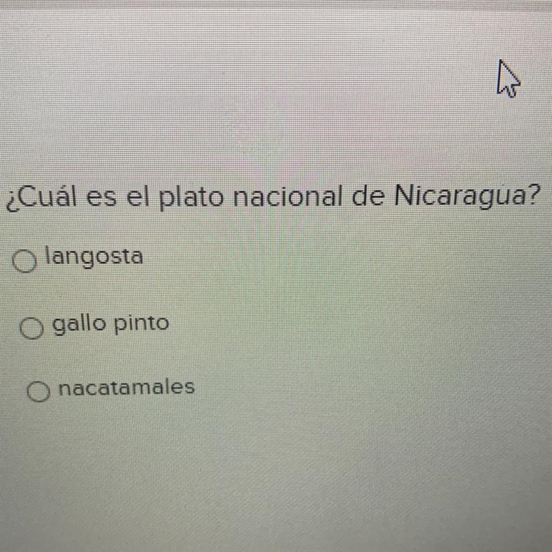 ¿Cuál es el plato nacional de Nicastagua? langosta gallo pinto nacatamales-example-1