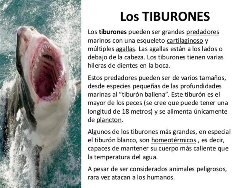 Ideas implícitas del texto los tiburones ​-example-1