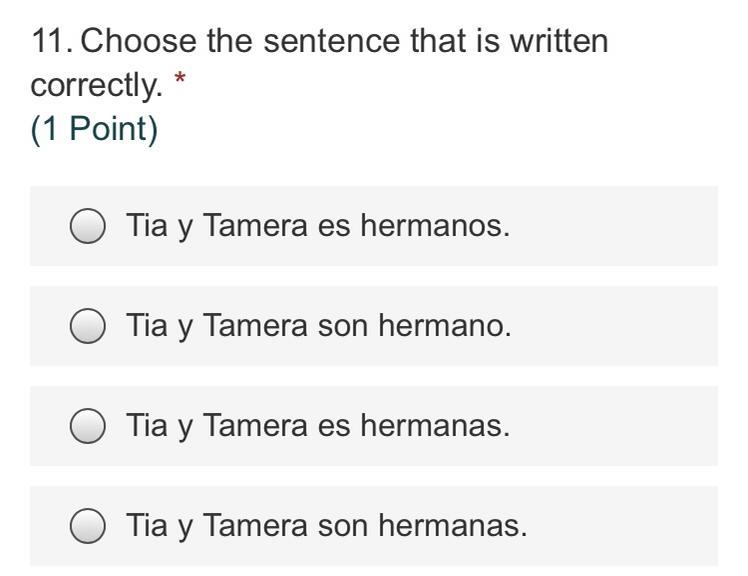 Choose the sentence that is written correctly-example-1