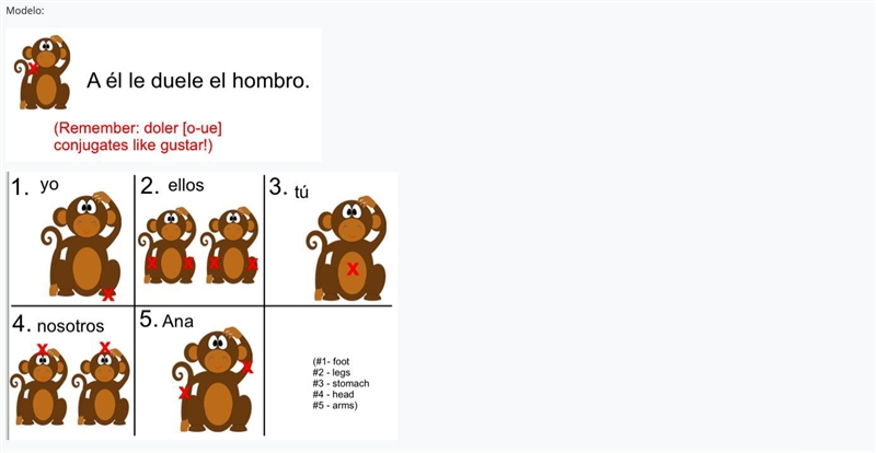 _ Using the picture below, write 5 sentences in Spanish about what hurts the monkey-example-1