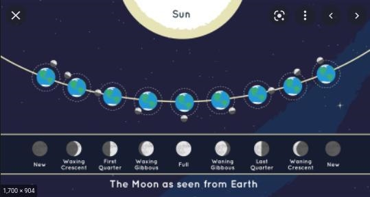 The sun's gravitational pull _____. is less than that of Earth causes the phases of-example-1