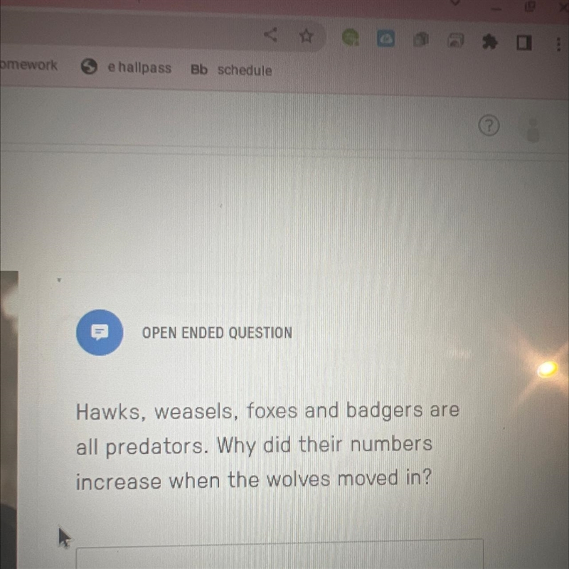 Hawks, weasels, foxes, and badgers are all predators. Why did their numbers increase-example-1