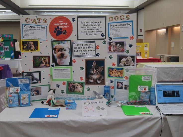 So, I am making a tri-fold display board on a animal shelter for cats. I need ideas-example-5