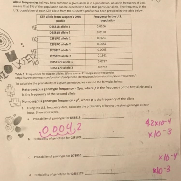 Can someone please help me with this?-example-1