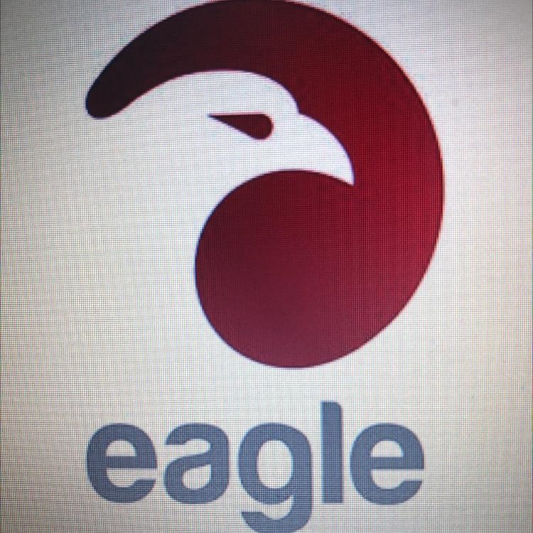 Which of the following is used in this Image? eagle A. lines B. perspective C. overlapping-example-1