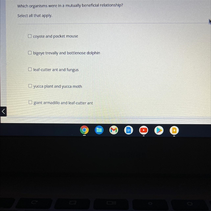 Which organisms were in a mutually beneficial relationship? Select all that apply-example-1