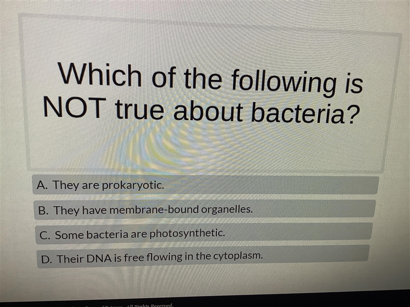 Which of the following is NOT true about bacteria-example-1