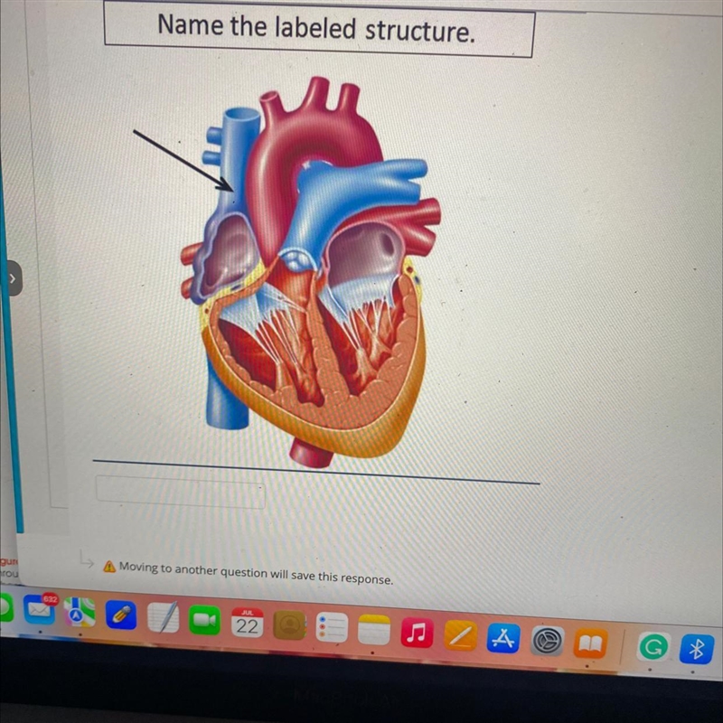 Name the labeled structure-example-1