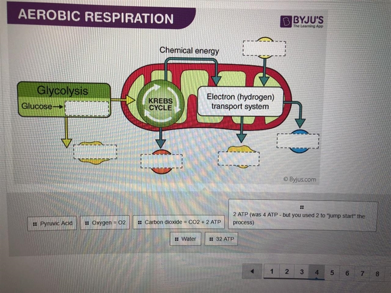 Label the MITOCHONDRIA (with the places where PRODUCTS and REACTANTS go) during CELLULAR-example-1