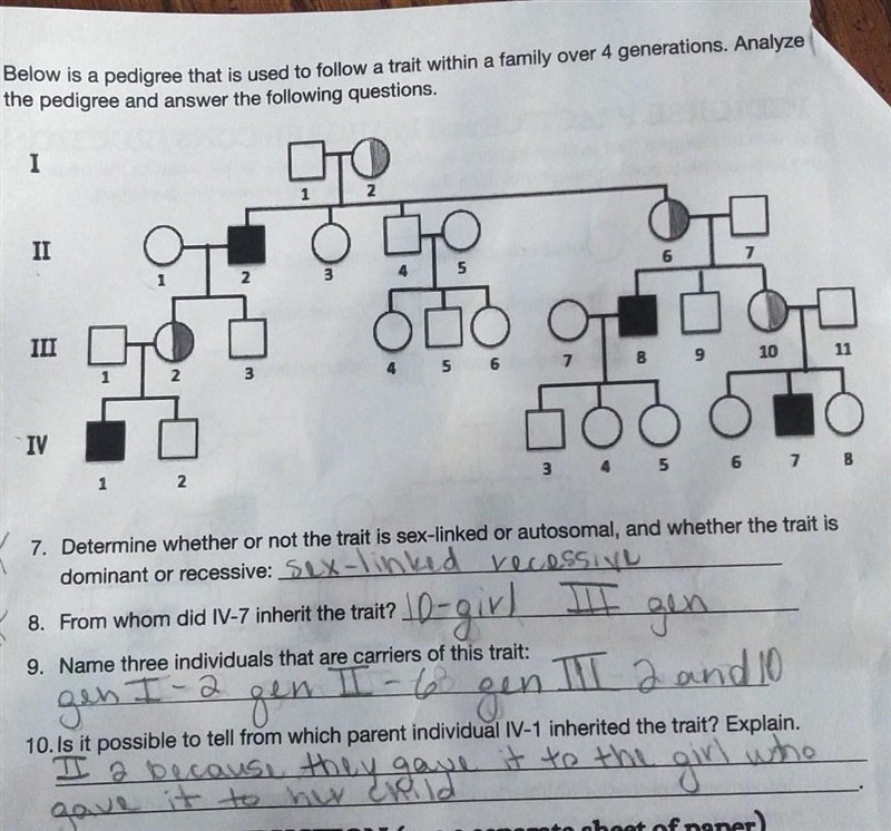 I need somebody to clarify if any of these are wrong because I have no clue what I-example-1