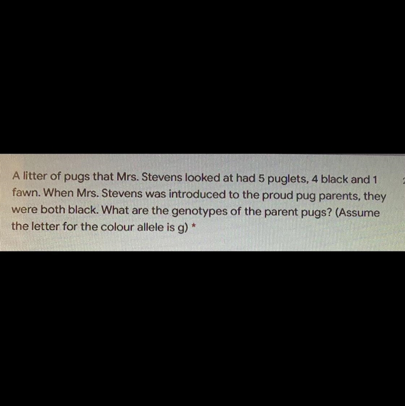 A litter of pugs that Mrs. Stevens looked at had 5 puglets, 4 black and 1 fawn. When-example-1