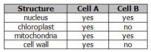 26. A student observes two cells under a microscope and lists observations in the-example-1