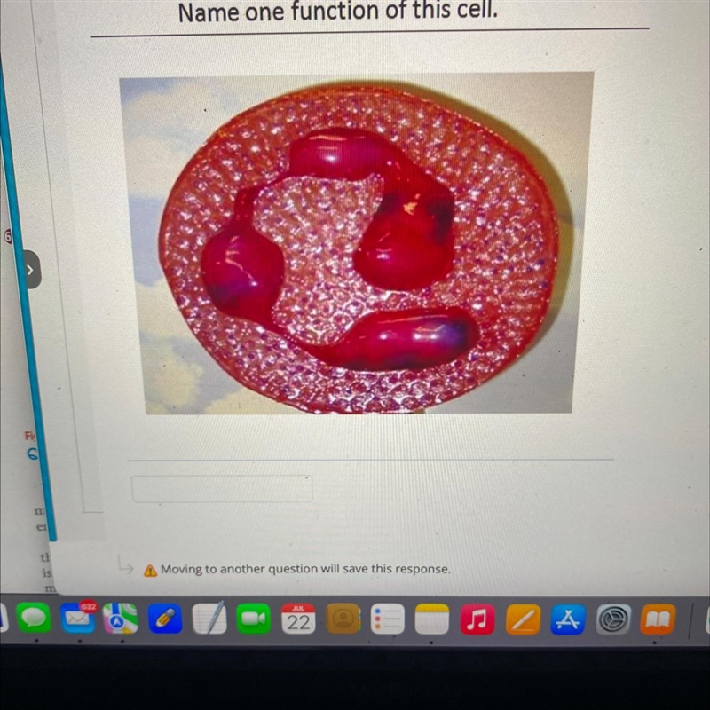 Name one function of this cell-example-1