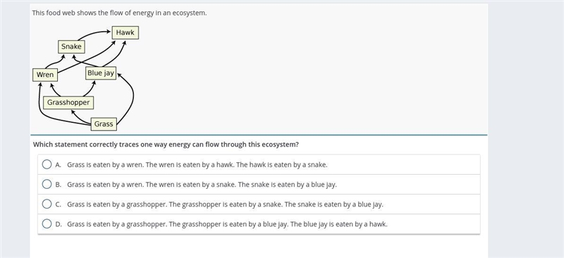 This food web show the flow of your energy in an ecosystem-example-1