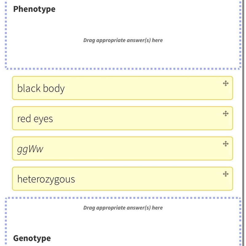 Indicate whether each textbox refers to a genotype or a phenotype by dragging them-example-1