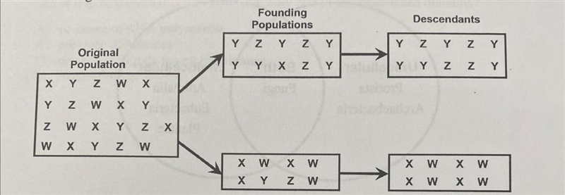 This diagram if of a model of a mechanism of evolution.Which phrase best describes-example-1