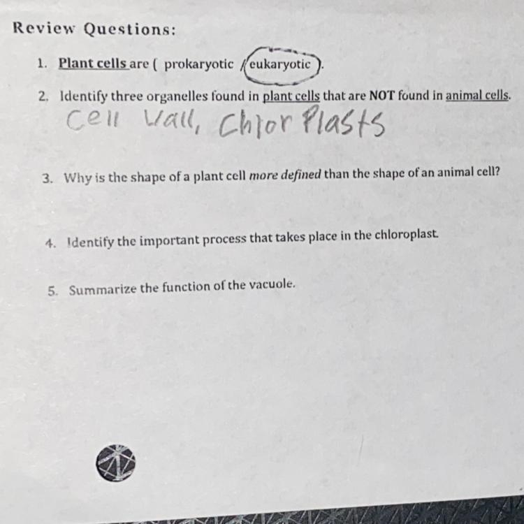 1.Identify three organelles found in plant cells that are NOT found in animal cells-example-1