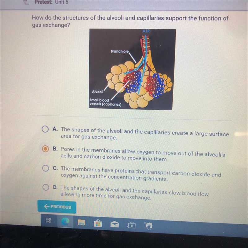 How do the structures of the alveoli and capillaries support the function of gas exchange-example-1