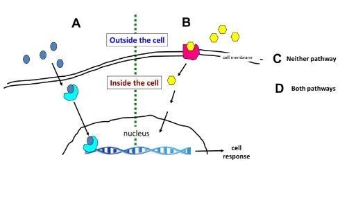 Please help!! ** peptide bond picture is for 1 and 2** 1. In this CHEMICAL reaction-example-1