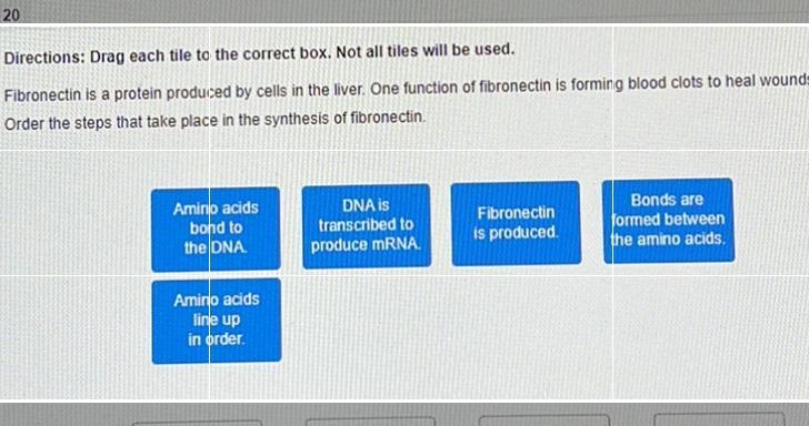 Directions: Drag each tile to the correct box. Not all tiles will be used.Fibronectin-example-1