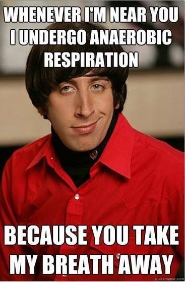 Using your own words, explain the meme below, relating it to cellular respiration-example-1