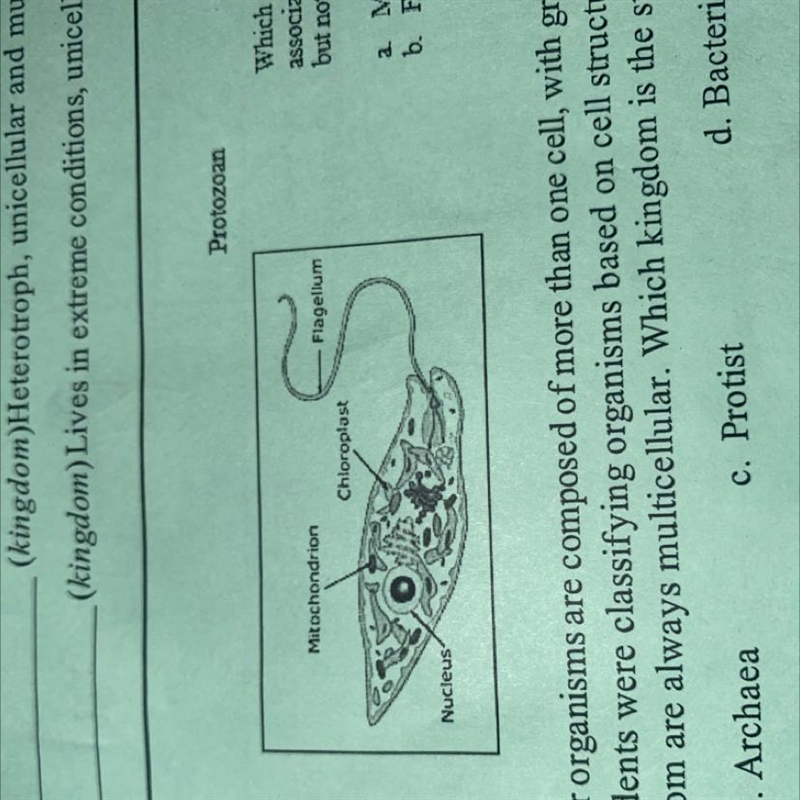 Which feature labeled on the protozoan is associated with organisms in the plant kingdom-example-1