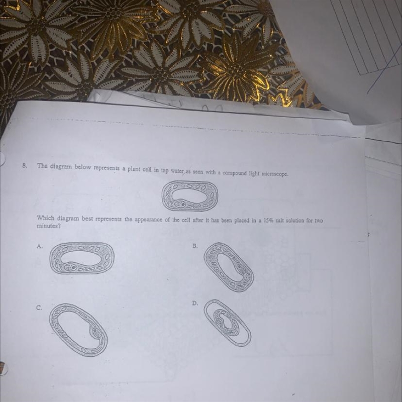 8.The diagram below represents a plant cell in tap water as seen with a compound light-example-1