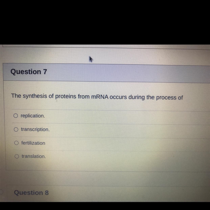 The synthesis of proteins from mRNA occurs during the process of-example-1