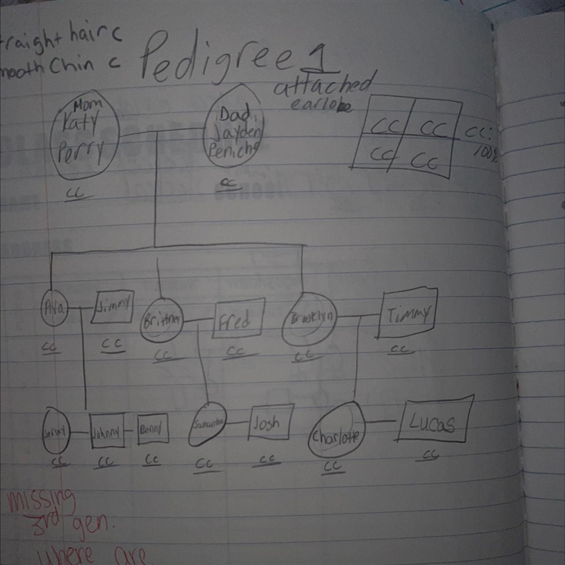 Hello I need help with a pedigree and also punnet square as well this is for straight-example-1