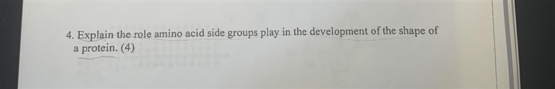 Explain the role amino acid side groups play in the development of the shape of a-example-1