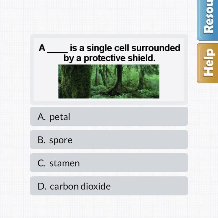 A _______ is a single cell surrounded by a protective shield. A. petal B. spore C-example-1