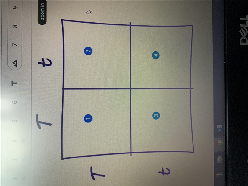 Based on the punnet square above, what is the probability that an offspring from this-example-1