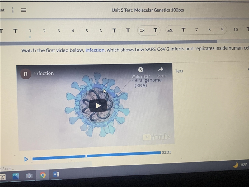 Watch the first video below infection, which shows how SARS-CoC-2 infects and replicated-example-1