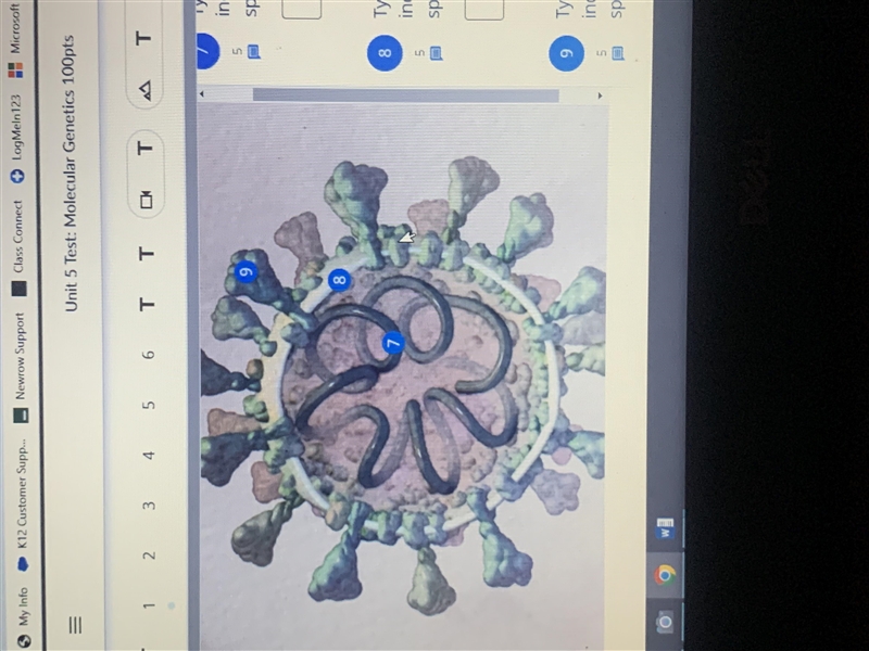 Watch the first video below infection, which shows how SARS-CoC-2 infects and replicated-example-2