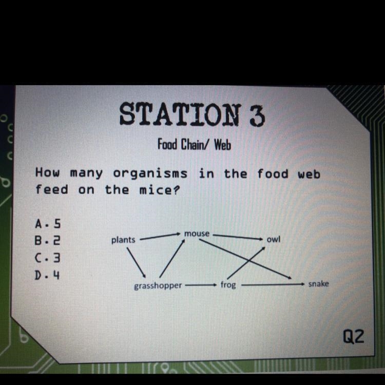 PLEASE HELP I REALLY NEED SOMEONE TO ANSWER!! How many organisms in the food web feed-example-1