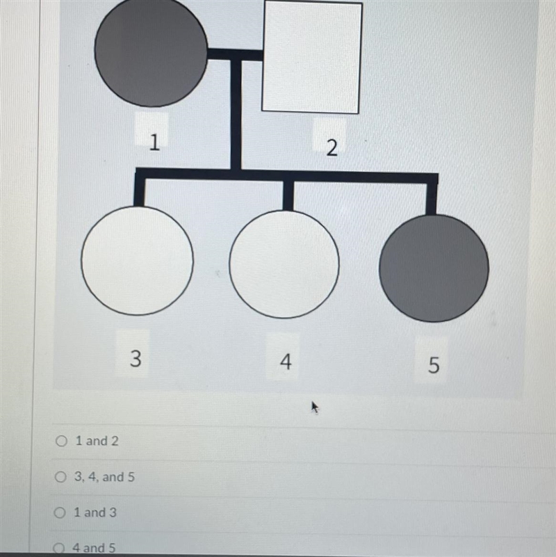 Question is down below. Which individual would represent parent and which individual-example-1