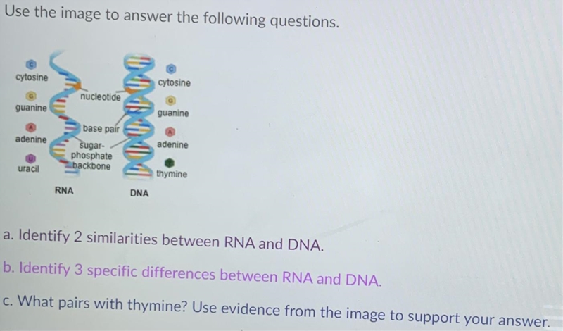 Hi I need a huge help with this question-please and thank u-example-1